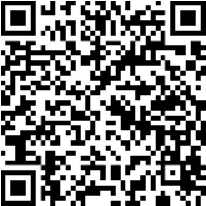 image-20241128110814-1